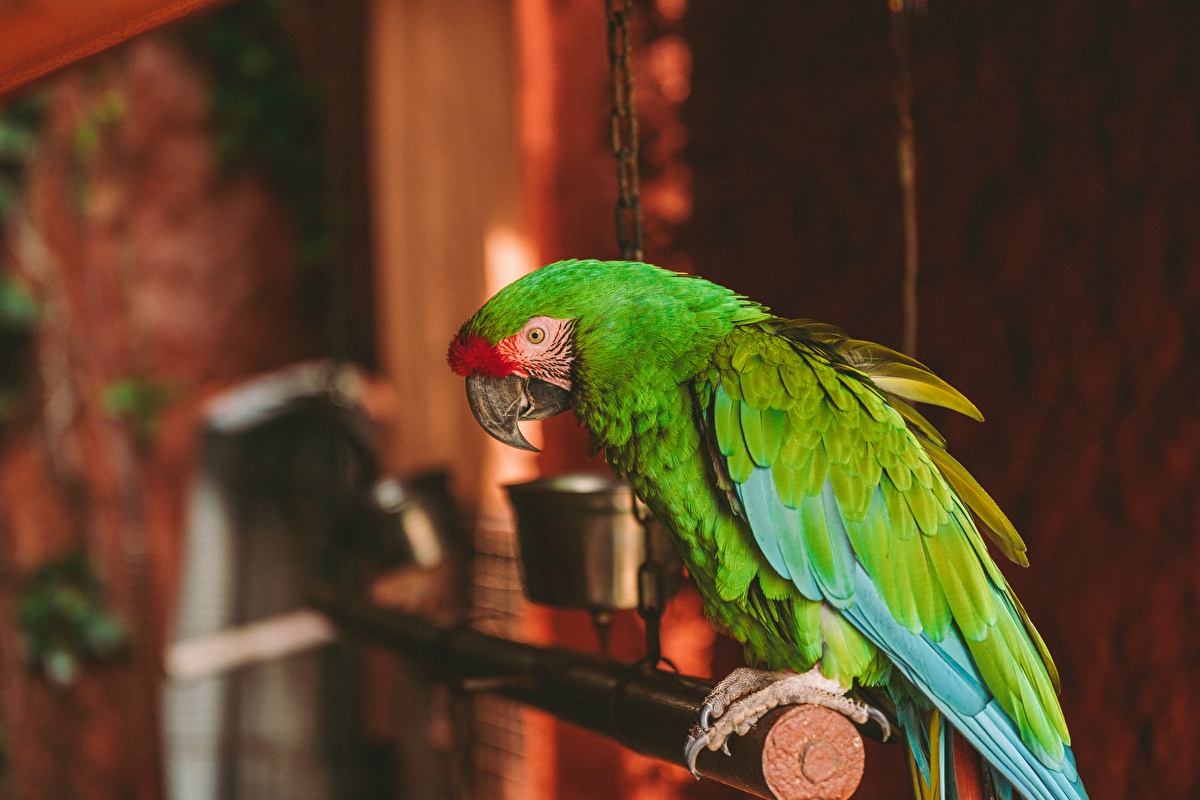 Gallery | Hotel Aura del Mar Zihuatanejo